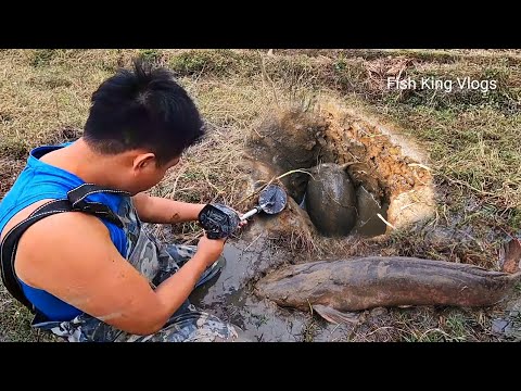 Using High-Tech Detectors To Hunt Dangerous Predatory Fish