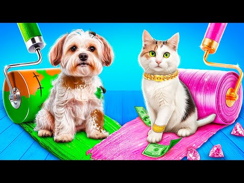 Rich Cat vs Poor Dog! 🐶😻 We Build a Tiny House for Pets!