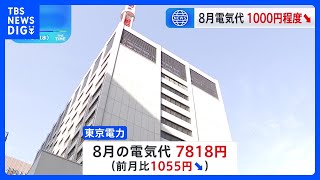 8月使用分の電気代　1000円程度↓　政府補助金の再開で｜TBS NEWS DIG