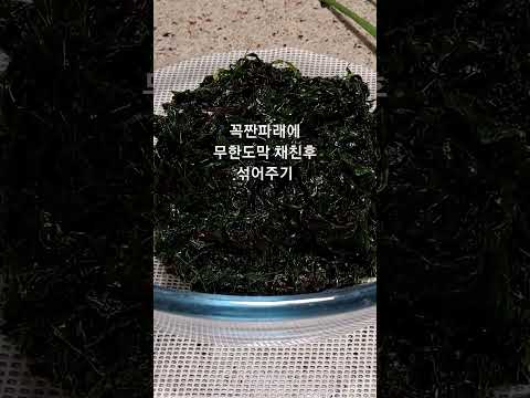 미네랄풍부 김파래무침 구독 알람 좋아요는 사랑입니다 💕 감사합니다 🙏😊