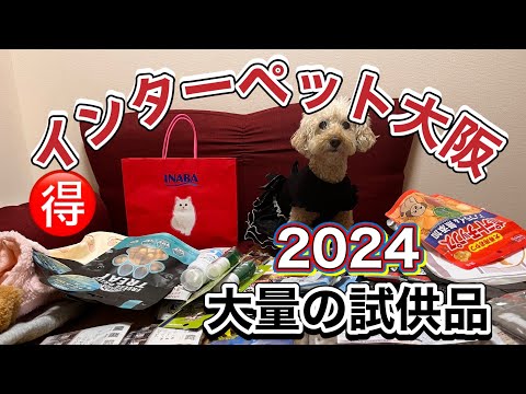 【インターペット大阪2024】9月21日の日本最大級のペットイベントに参加 ❣可愛いお洋服やお得がいっぱい