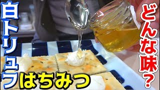 白トリュフ入りのはちみつを色んなものにかけてみた