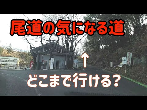 【尾道】尾道市千光寺公園に行く途中に気になる小道を見つけた！