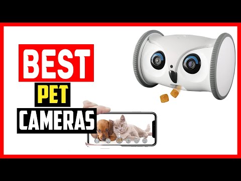 ✅The 5 Best Pet Cameras of 2023