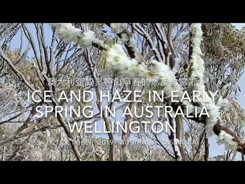 Ice and haze in early spring in Mount Wellington, Australia/澳大利亚威灵顿山早春的冰凌和雾凇