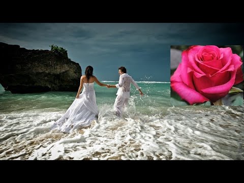 Красивая Мелодия Бархатный Саксофон 1🌊Beautiful Music Saxophone 💖🎵