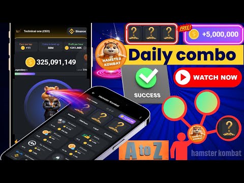 how to hamster kombat daily combo today Hamster daily combo cards