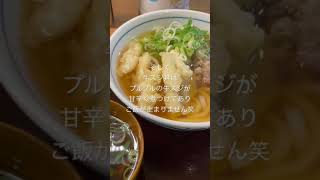 【福岡グルメ】これは外せない？ウエストの肉ごぼう天うどん。セットで牛スジ丼も頼んだけどご飯が止まらなかった… #shorts #福岡 #グルメ #うどん #ウエスト