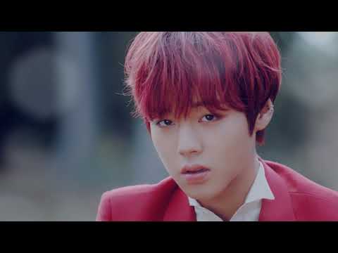 【MV繁中字】朴志訓 PARK JI HOON(박지훈) - L.O.V.E  [Chinese Sub]