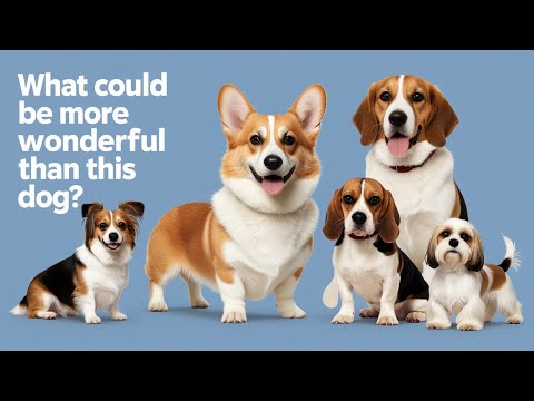 🐕 Discover the Most Pawsome Dog Breeds 🐶 | Adorable and Lovable!