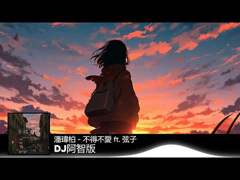 不得不爱 - 潘玮柏 ft.弦子 (DJ阿智版) | 高音质