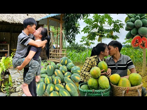 TIMELAPSE: 65 Days of Harvesting for Sale - Building a Daily Life | Linh's Life