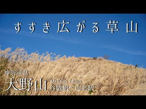 大野山 -谷峨駅より登る すすき広がる草山-