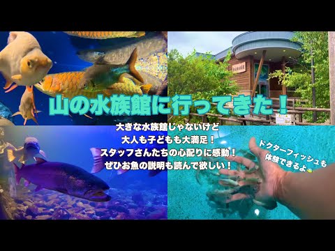 山の大地の水族館で日本初と世界初を堪能してきた🐟✨