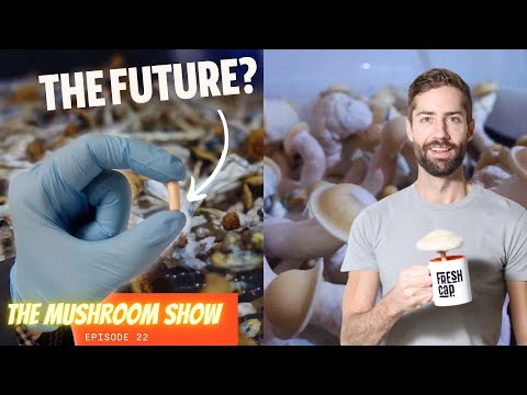 A New Frontier For Psilocybin Therapy? Standardized but NOT Synthetic (TMS Episode 22)