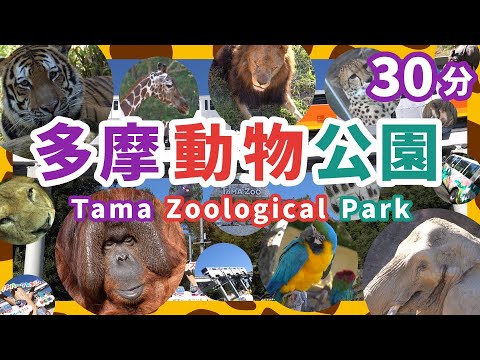 多摩動物公園（ライオンバス・昆虫館・多摩動物公園駅モノレール）