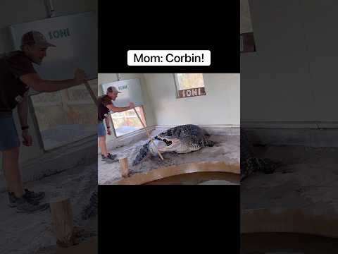 Alligator Attacks My Mom’s Bucket 😱🪣🐊#shorts #alligator