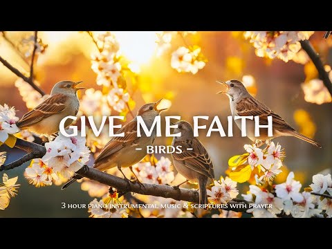 Give Me Faith : Instrumental Worship and Scriptures with Birds 🕊 Christian Instrumental