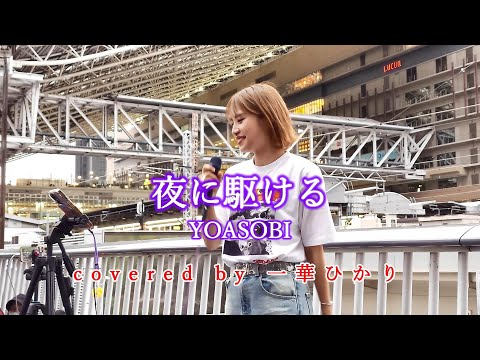 夜に駆ける / YOASOBI  covered by 《一華ひかり》※概要欄にツアー情報あり