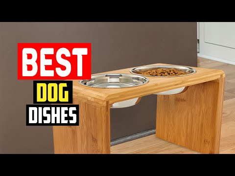 ✅Top 5 Best Dog Dishes of 2023