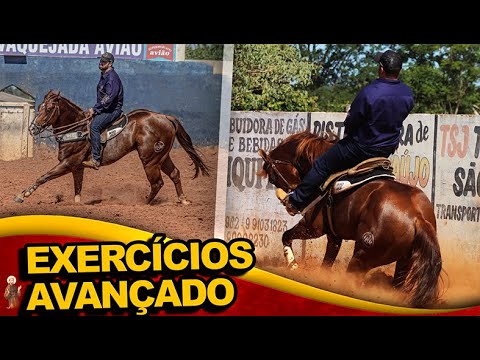 Exercícios avançados para seu cavalo de Vaquejada