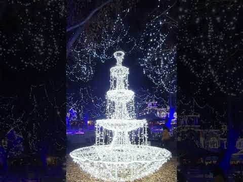 The 🎄 light fountain ⛲ #shorts #alliwantforchristmasisyou