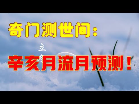 奇门测世间：辛亥月流月预测！