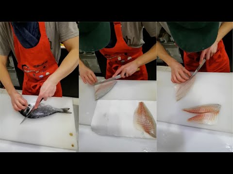 今天给大家演示一下如何分割鲷鱼Today I will show you how to cut snapper #寿司 #sushi #生鱼片