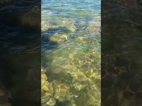 The Most Gentle Sea Water ASMR Sounds! (Sleep in Minutes!) #viral