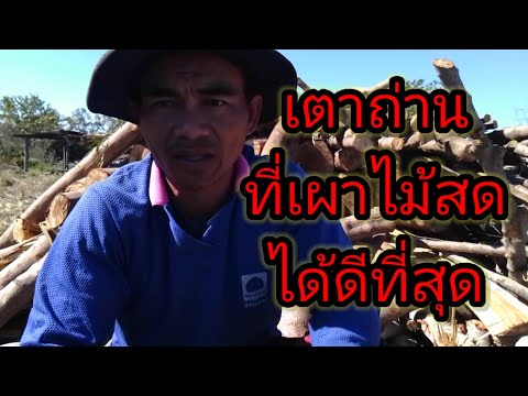 ไม้สดตัดมาวันเดียวเผาเลย (เตาเผาถ่านที่เผาไม้สดได้ดีที่สุด) EP.29