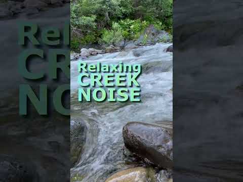 Scrolling Break | Relaxing Creek Noise to Reset Your Mind #relaxnoise #dalesnale