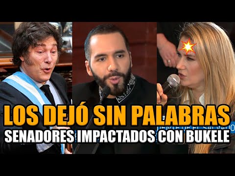 BUKELE ESTALLÓ CONTRA SENADORES EN ARGENTINA Y LOS DEJÓ SIN PALABRAS ¡MILEI IMPACTADO! | BREAK POINT