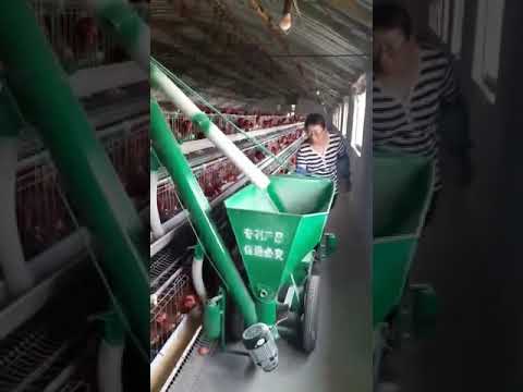 Automatic feeding trolly for layer chicken farm poultry farm feeding chickens with automatic machine