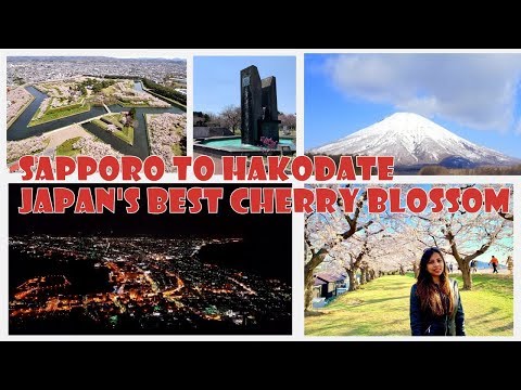 Sapporo to Hakodate Day trip by road|  札幌から函館へ一日旅行 | Smriti Rao Das