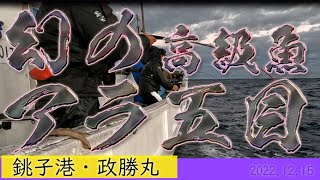 2022.12.15　 銚子港　政勝丸　アラ五目