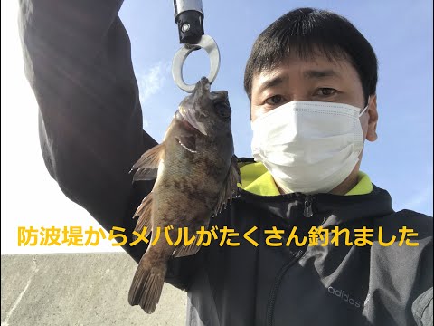 防波堤から餌釣り