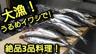 うるめいわし、うるめイワシさばき方〜うるめイワシ料理！