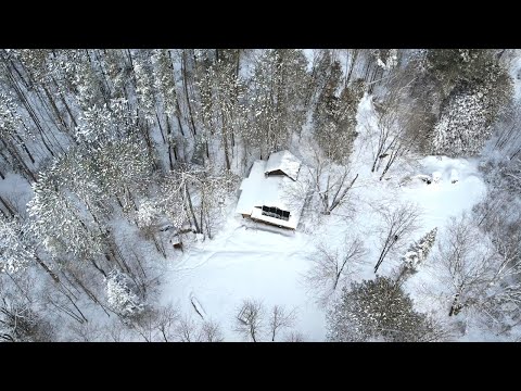 Snowy Day At The Off-Grid Cabin |  Winter Wonderland in Canada 🇨🇦