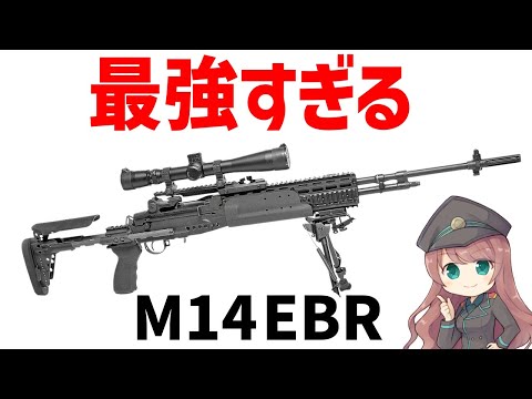 【銃解説】イラク戦争で大活躍したM14、長距離狙撃でキル数稼ぎまくったスナイパーライフル