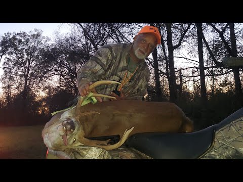 Deer Hunting With Dogs Opening Day!!! Big Buck Down!! W.B. Hunt Club 2024