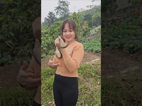 Cute snake. #hoangthibinh