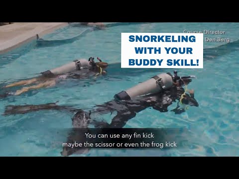 Snorkeling - PADI Open Water Diver Course • Scuba Diving Tips