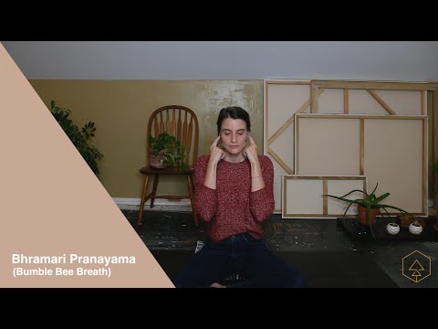 Learn Humming Bumble Bee Breathing Technique - Bhramari Pranayama