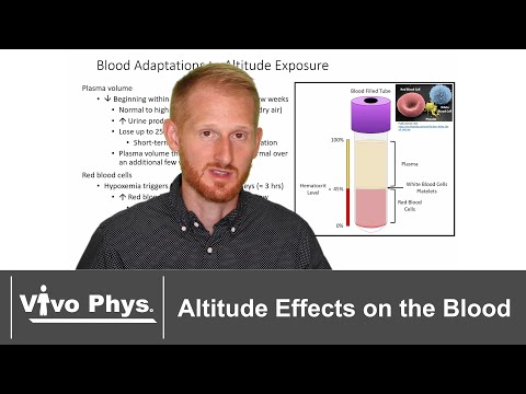 Altitude Effects on the Blood