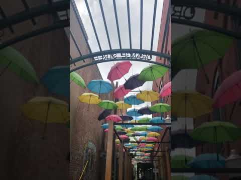 Amazing Umbrellas Display at Redlands | Great Place for Photo Shoot | 洛杉矶内陆地区的宝藏之地| 被低估的旅游胜地