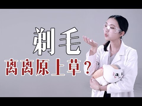 身上這些部位的毛毛到底剃還是不剃？