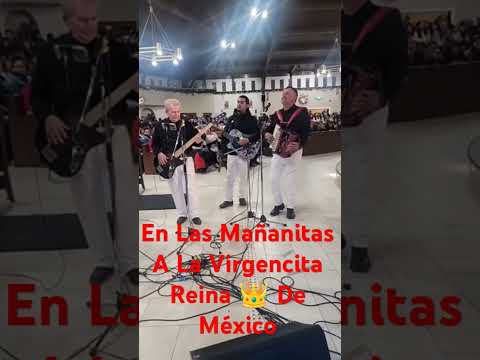 En Las Mañanitas A La Virgencita Reina 👑 De México