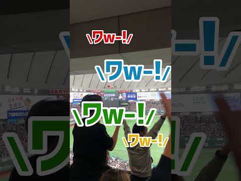 熱狂！Bro.KORNさんと【WBC 2023】侍ジャパンの応援に行ってきたぞ♬ #Shorts