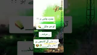 Murshid Shayari Status | Best of Murshid Poetry | Tiktok Murshid | #status #Shayari