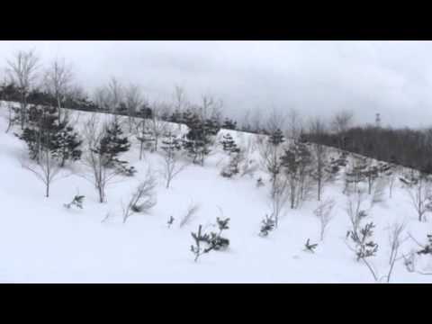 【マッタリ休日】雪山をスノーバイクで走ってみる